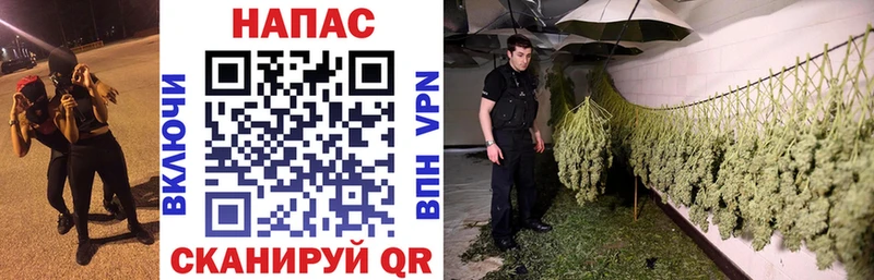Купить где  Данков  МАРИХУАНА LSD WEED 
